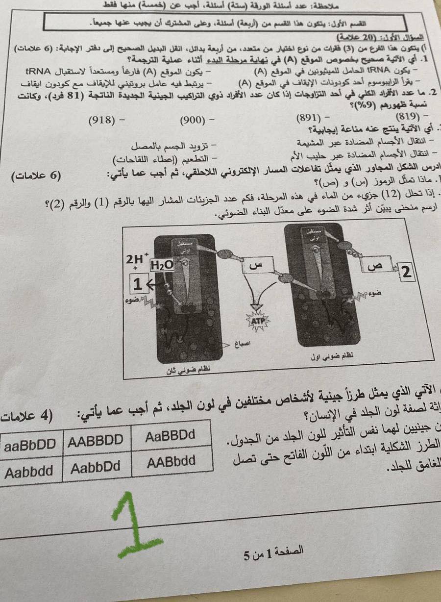 امتحان الاحياء الوزاري 2025